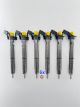 6x INJEKTOR 0445117045 Audi 3,0 Bi TDI 320 PS  326 PS 059130277CT
